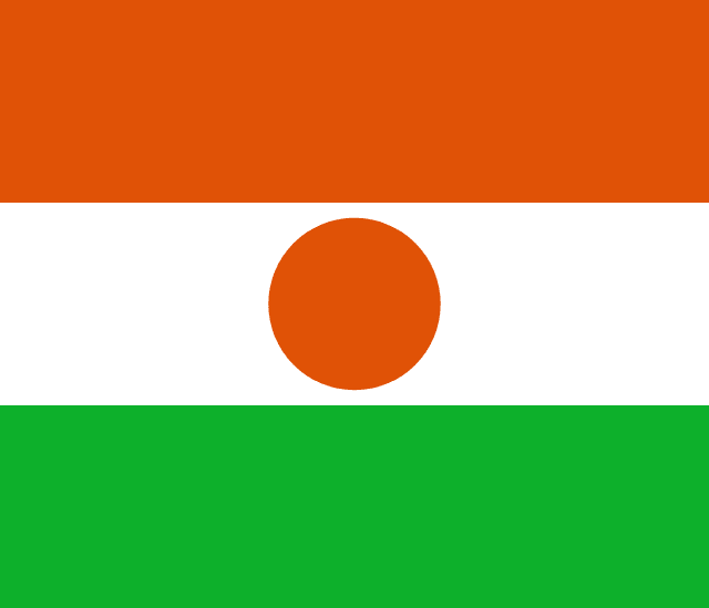 Niger flag
